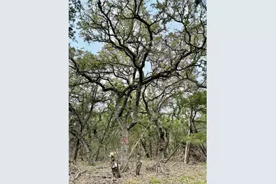 202,204,208 Thomas Oaks Drive, Wimberley, TX 78676 - Photo 13