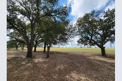 Tract 2 Fm 713 Highway, Lockhart, TX 78644 - Photo 5