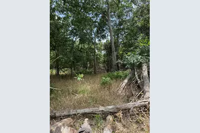 Lot 904 Kahana Lane, Bastrop, TX 78602 - Photo 3