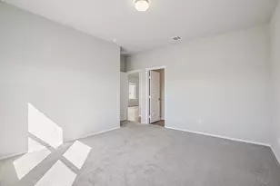 425 Rear Boot Wy, Liberty Hill, TX 78642 - Photo 19