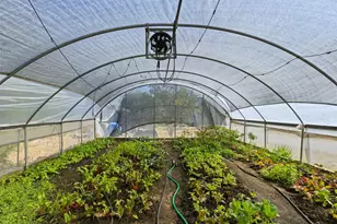 4110 Tyx Trail, Spicewood, TX 78669 - Photo 7