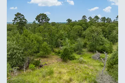 000 McAllister Road, Bastrop, TX 78602 - Photo 11