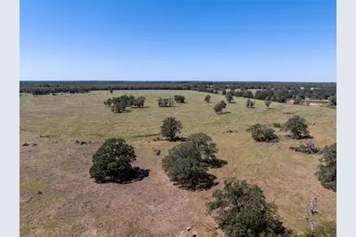 1078 Old Pin Oak Road #Tract 1, Paige, TX 78659 - Photo 5