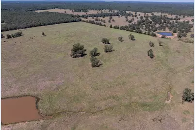 1078 Old Pin Oak Road #Tract 1, Paige, TX 78659 - Photo 9