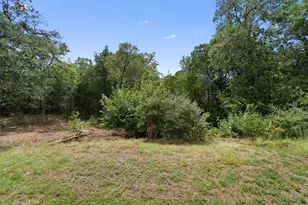 254 Lba Dr, Bastrop, TX 78602 - Photo 29