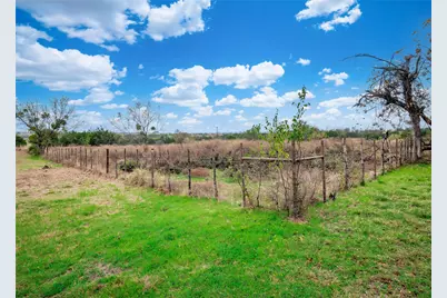 1350 County Road 414, Jonesboro, TX 76538 - Photo 39