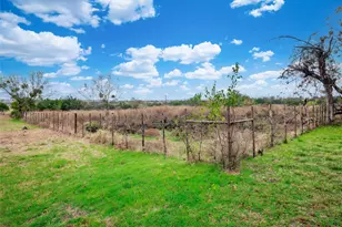 1350 Co Rd 414, Jonesboro, TX 76538 - Photo 39