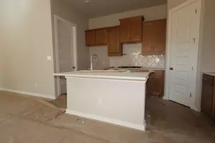 148 Norway Spruce St, Dripping Springs, TX 78620 - Photo 5