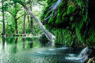 110 Cove Creek Dr, Spicewood, TX 78669 - Photo 19