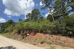 120 Molokini Dr, Bastrop, TX 78602 - Photo 1