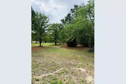 Tbd Buckhorn Drive, Bastrop, TX 78602 - Photo 1