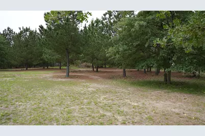 Tbd Buckhorn Drive, Bastrop, TX 78602 - Photo 5