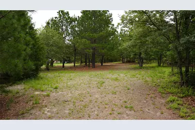 Tbd Buckhorn Drive, Bastrop, TX 78602 - Photo 1