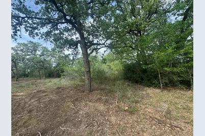 104 Cisco Court, Cedar Creek, TX 78612 - Photo 27