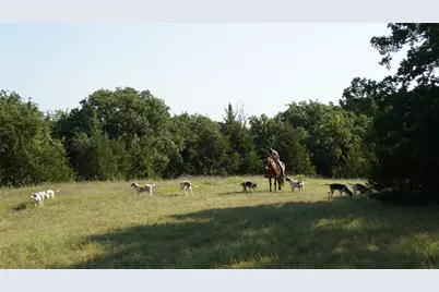 194 Private Road 4663, Boyd, TX 76023 - Photo 29