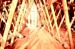 316 Crockett Loop, Georgetown, TX 78633 - Photo 23