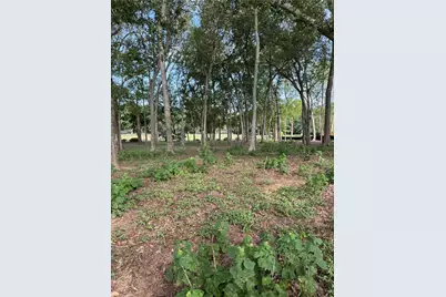 736 E Riverside Drive, Bastrop, TX 78602 - Photo 3