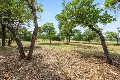 294 Mae Point, Dripping Springs, TX 78620 - Photo 3