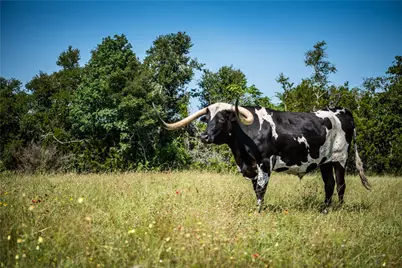 12350-65 N Hwy 16 Highway, Fredericksburg, TX 78624 - Photo 11