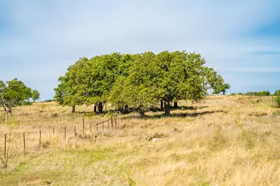 12350-65 N Hwy 16 Highway, Fredericksburg, TX 78624 - Photo 7