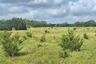 1495 County Road 281 Rd, Leander, TX 78641 - Photo 3