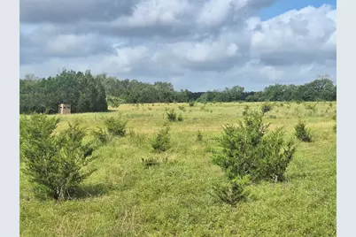 1495 County Road 281 Road, Leander, TX 78641 - Photo 3