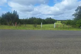 1495 County Road 281 Rd, Leander, TX 78641 - Photo 1