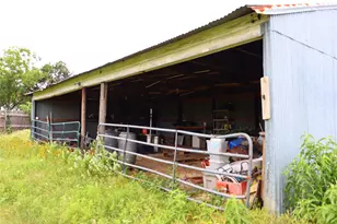 174 Wilson Rd, Elgin, TX 78621 - Photo 33