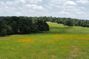 174 Wilson Rd, Elgin, TX 78621 - Photo 17