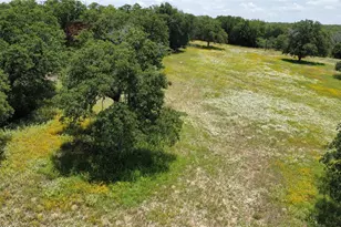 174 Wilson Rd, Elgin, TX 78621 - Photo 29