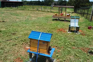 174 Wilson Rd, Elgin, TX 78621 - Photo 13