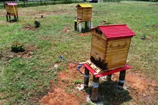 174 Wilson Rd, Elgin, TX 78621 - Photo 15