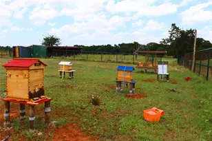 174 Wilson Rd, Elgin, TX 78621 - Photo 11