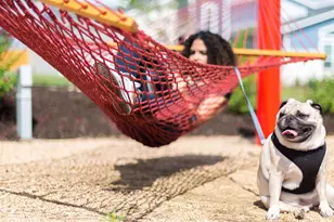 7013 Woodford Wy, Austin, TX 78744 - Photo 9