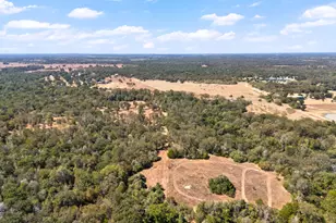 196 Willy Rd, Bastrop, TX 78602 - Photo 33