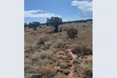 765 S Kenwood Street #415, Williams, AZ 86046 - Photo 5