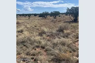 795 S Kenwood Street #414, Williams, AZ 86046 - Photo 3