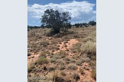 4896 E Redwood Lane #385, Williams, AZ 86046 - Photo 3