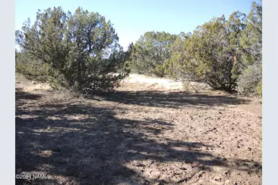 627 E Hualpai Trail, Williams, AZ 86046 - Photo 5