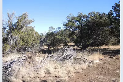 627 E Hualpai Trail, Williams, AZ 86046 - Photo 1