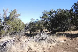 627 E Hualpai Trail, Williams, AZ 86046 - Photo 1