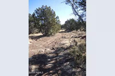 627 E Hualpai Trail, Williams, AZ 86046 - Photo 7