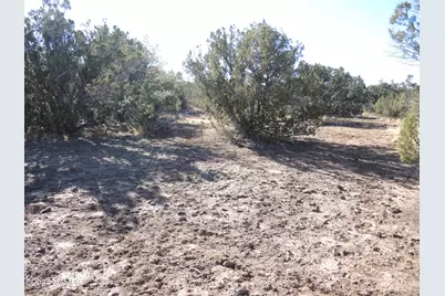 627 E Hualpai Trail, Williams, AZ 86046 - Photo 3