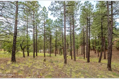 4540 S Flagstaff Ranch Road, Flagstaff, AZ 86005 - Photo 5