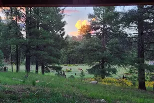 4800 S Wildlife Dr, Flagstaff, AZ 86005 - Photo 81