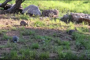 4800 S Wildlife Dr, Flagstaff, AZ 86005 - Photo 83