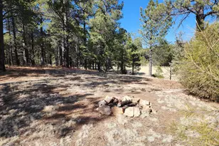 4800 S Wildlife Dr, Flagstaff, AZ 86005 - Photo 77