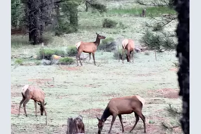 4800 S Wildlife Drive, Flagstaff, AZ 86005 - Photo 79