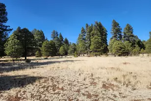 4800 S Wildlife Dr, Flagstaff, AZ 86005 - Photo 71