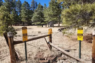 4800 S Wildlife Dr, Flagstaff, AZ 86005 - Photo 73